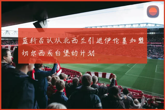 蓝科否认从北西兰引进伊伦基加盟切尔西或白堡的计划